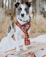 Load image into Gallery viewer, Flannel Adjustable Dog Scarf - 7 color choices FREE PERSONALIZATION
