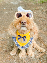 Load image into Gallery viewer, Wicker Pumpkin Embroidered bandana with soft macrame cord tie closure