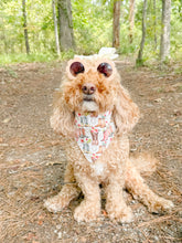 Load image into Gallery viewer, Rodeo Blooms reversible dog bandana with soft macrame cord tie closure. Free Personalization available