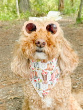 Load image into Gallery viewer, Rodeo Blooms reversible dog bandana with soft macrame cord tie closure. Free Personalization available