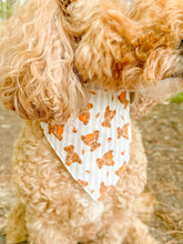 Load image into Gallery viewer, Bear-y Autumn reversible dog bandana with soft macrame cord tie closure. Free Personalization available