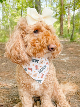 Load image into Gallery viewer, Howdy, Fall reversible dog bandana with soft macrame cord tie closure. Free Personalization available