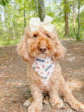 Load image into Gallery viewer, Howdy, Fall reversible dog bandana with soft macrame cord tie closure. Free Personalization available