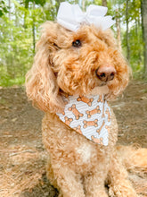 Load image into Gallery viewer, Happy Hour reversible dog bandana with soft macrame cord tie closure. Free Personalization available