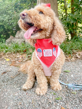 Load image into Gallery viewer, Patriotic Pop dog bandana with soft macrame cord tie closure