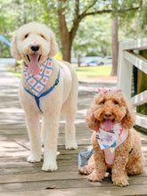 Load image into Gallery viewer, I hate fireworks reversible dog bandana with soft macrame cord tie closure. Free personalization