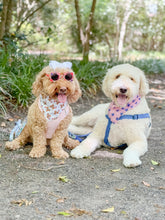 Load image into Gallery viewer, Freedom Teddy reversible dog bandana with soft macrame cord tie closure. Free personalization