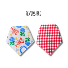 Load image into Gallery viewer, Lobster Boil reversible dog bandana with soft macrame cord tie closure. Free Personalization available