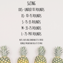 Load image into Gallery viewer, Jolly yarn design dog bandana with soft macrame cord tie closure