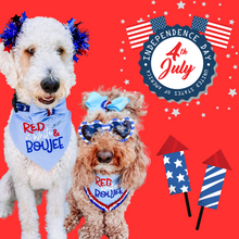 Load image into Gallery viewer, Light Blue grosgrain hair bow with sequin trim center. Made with an alligator Hair clip or elastic headband