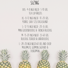 Load image into Gallery viewer, Rainbow Pineapple machine embroidered dog bandana with soft macrame cord tie closure