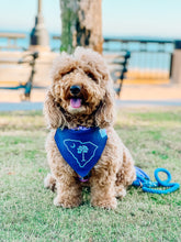Load image into Gallery viewer, State of South Carolina with Palmetto Tree dog bandana with soft macrame cord tie closure