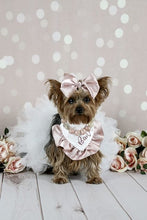 Load image into Gallery viewer, Double Faced Satin Ruffle Dog Bandana with soft macrame cord tie closure. 4 color choices ( Look for matching bows