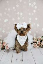 Load image into Gallery viewer, White Satin with Pearl Trim Dog Bandana with soft macrame cord tie closure ( Look for matching bow)