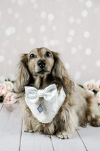 Load image into Gallery viewer, White Satin Bow Tie made with Alligator hair clip, over the collar or elastic headband