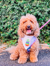 Load image into Gallery viewer, Rainbow Pineapple machine embroidered dog bandana with soft macrame cord tie closure