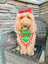 Load image into Gallery viewer, Cinco de Mayo dog bandana with soft macrame cord tie closure