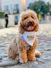 Load image into Gallery viewer, Charleston Rainbow Row machine embroidered dog bandana with soft macrame cord tie closure