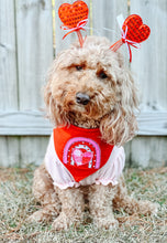 Load image into Gallery viewer, Valentine rainbow applique dog bandana with soft macrame cord tie closure