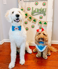 Load image into Gallery viewer, Lucky Rainbow dog bandana with soft macrame cord tie closure available with or without white eyelet lace trim. Look for matching rainbow hair bow and bow tie