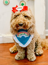 Load image into Gallery viewer, Lucky Rainbow dog bandana with soft macrame cord tie closure available with or without white eyelet lace trim. Look for matching rainbow hair bow and bow tie