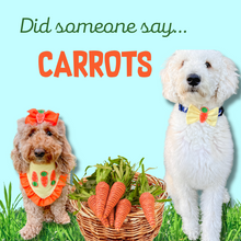 Load image into Gallery viewer, Carrot Feltie dog bandana with soft macrame cord tie closure available with or without ruffle trim (look for matching hair bow and bow tie)