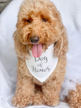 Load image into Gallery viewer, Dog of Honor Wedding Bandana with soft macrame cord tie closure
