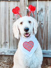 Load image into Gallery viewer, Chevron heart with ruffle dog bandana with soft macrame cord tie closure available with or without ribbon ruffle trim (look for matching bow tie)