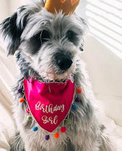 Load image into Gallery viewer, It's My Birthday Dog Bandana with Soft Macrame Cord Tie Closure