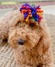 Load image into Gallery viewer, Rainbow Korker Ribbon Hair Bow Made with an Alligator Hair clip or elastic headband