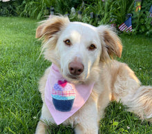 Load image into Gallery viewer, Boy and Girl Pup Cake Applique Dog Bandana with Soft Macrame Cord Tie Closure