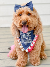Load image into Gallery viewer, Daddy is my Bestie dog bandana with soft macrame cord tie closure available with or without trim