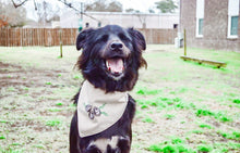 Load image into Gallery viewer, Lowcountry Oyster machine embroidered dog bandana with soft macrame cord tie closure