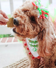 Load image into Gallery viewer, Neon Korker Ribbon Hair Bow Made with an Alligator hair clip or elastic headband