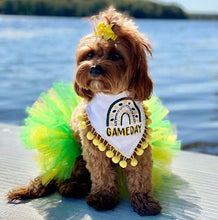 Load image into Gallery viewer, Gameday Rainbow Dog Bandana with Soft Macarame Cord Tie Closure. Several team choices plus a custom option
