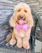 Load image into Gallery viewer, Gender Reveal dog bandana with soft macrame cord tie closure. I AM REVERSIBLE. It's a Girl on one side. It's a Boy on the other side