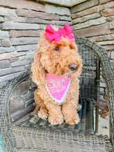 Load image into Gallery viewer, Mommy Is My Bestie Pink dog bandana with soft macrame cord tie closure available with or without trim