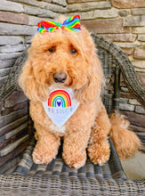 Load image into Gallery viewer, "Be A Light" Rainbow dog bandana with soft macrame cord tie closure