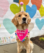 Load image into Gallery viewer, It's My Birthday Dog Bandana with Soft Macrame Cord Tie Closure