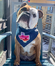 Load image into Gallery viewer, Choose Your State- All 50 States Available- Machine Applique Pet Bandana with Soft Macrame Cord Tie Closure