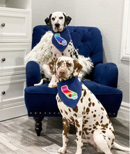 Load image into Gallery viewer, Choose Your State- All 50 States Available- Machine Applique Pet Bandana with Soft Macrame Cord Tie Closure