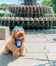 Load image into Gallery viewer, Pineapple Machine Appliqué Dog Bandana with Soft Macrame Cord Tie Closure