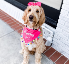 Load image into Gallery viewer, It's My Birthday Dog Bandana with Soft Macrame Cord Tie Closure