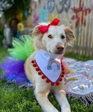 Load image into Gallery viewer, Quick Stitch Rainbow Machine Embroidered Dog Bandana with Soft Macrame Cord Tie Closure