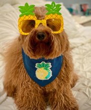 Load image into Gallery viewer, Pineapple Machine Appliqué Dog Bandana with Soft Macrame Cord Tie Closure