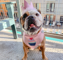 Load image into Gallery viewer, Boy and Girl Pup Cake Applique Dog Bandana with Soft Macrame Cord Tie Closure
