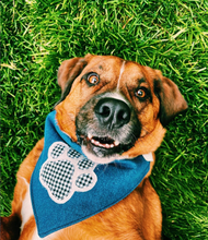 Load image into Gallery viewer, Paw Print Love Machine Applique Dog Bandana with Soft Macrame Cord Tie Closure