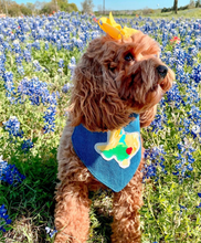 Load image into Gallery viewer, Choose Your State- All 50 States Available- Machine Applique Pet Bandana with Soft Macrame Cord Tie Closure