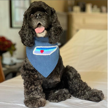 Load image into Gallery viewer, Choose Your State- All 50 States Available- Machine Applique Pet Bandana with Soft Macrame Cord Tie Closure