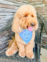 Load image into Gallery viewer, Big Brother/ Big Sister Circle Design dog bandana with soft macrame cord tie closure. Available with optional pom trim